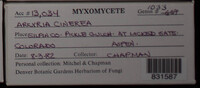 Image Associated With the Occurence